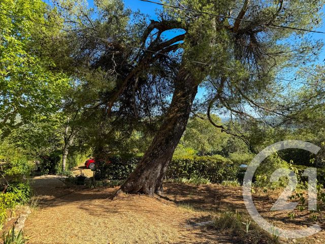 Appartement T3 à louer - 3 pièces - 60.0 m2 - LE THOLONET - 13 - PROVENCE-ALPES-COTE-D-AZUR - Century 21 Les Allées
